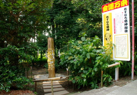 asunaro2