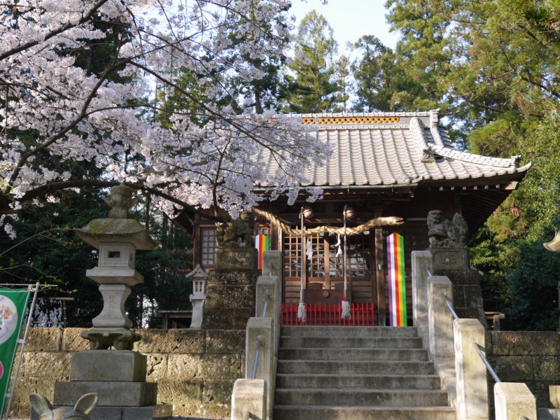 P1000829